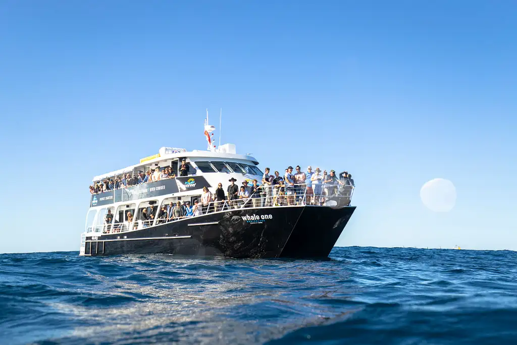 Sunshine Coast Whale Watching Cruise