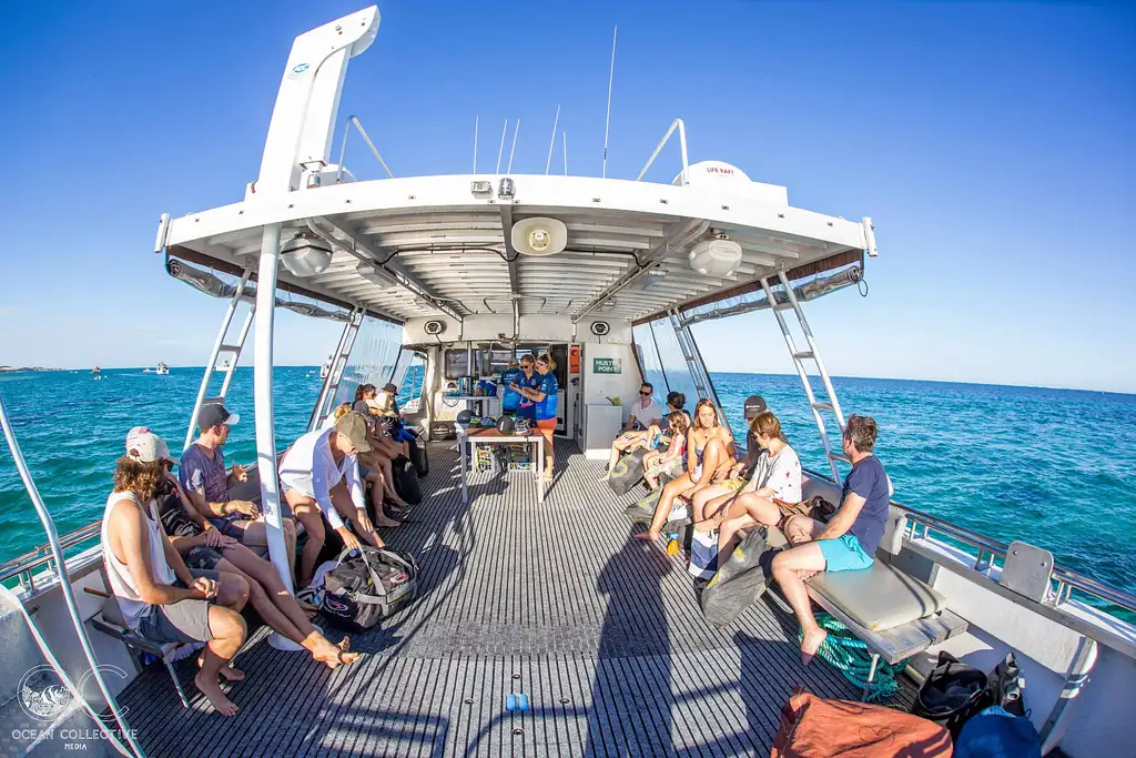 Whale Shark Adventure tour | From Coral Bay