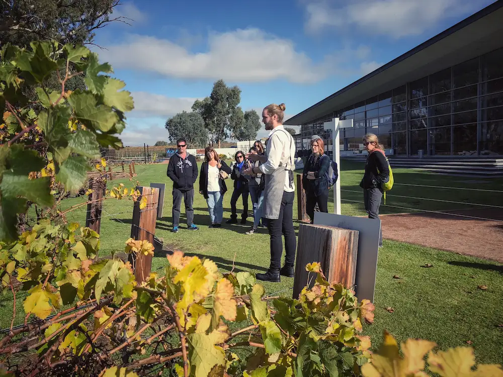 Barossa Valley Wine Full Day Tour From Adelaide