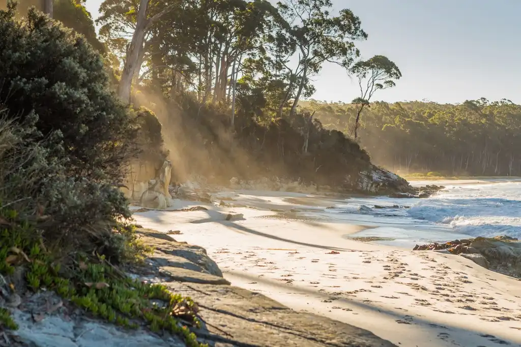 Bruny Island Day Tour | From Hobart