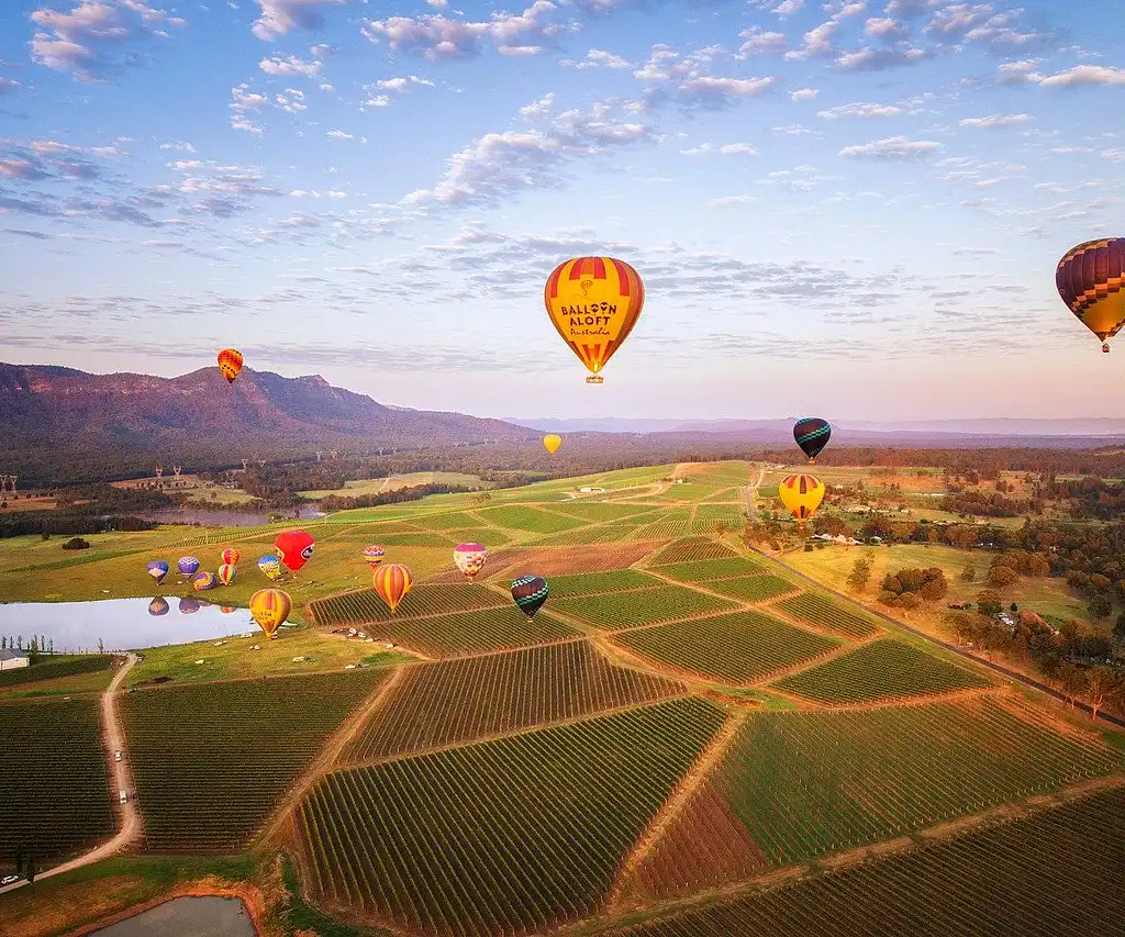 Hunter Valley Hot Air Balloon Flight at Sunrise