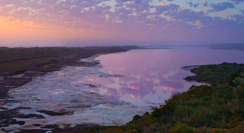 Pink Lake Buggy Tour | Western Australia