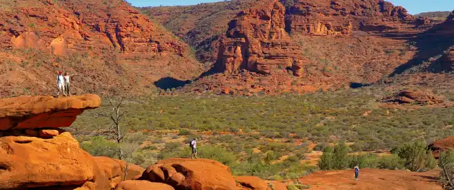 Palm Valley Outback Safari by 4WD