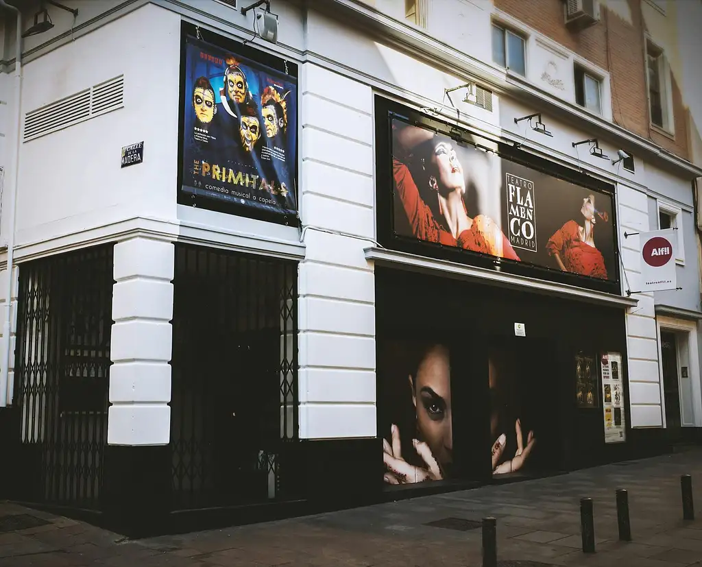 Madrid Flamenco Theatre