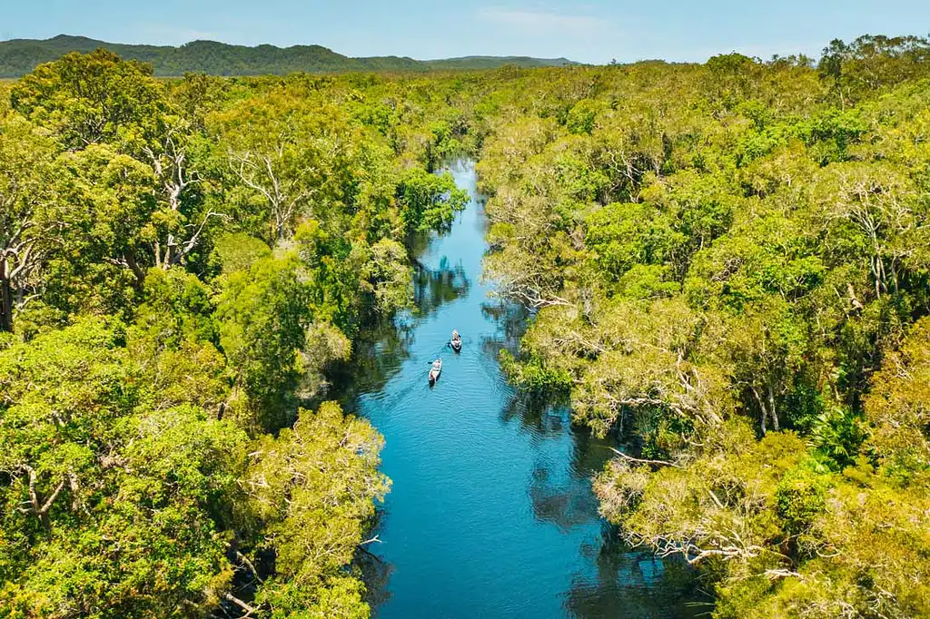 Noosa Everglades Explorer Canoe Trip