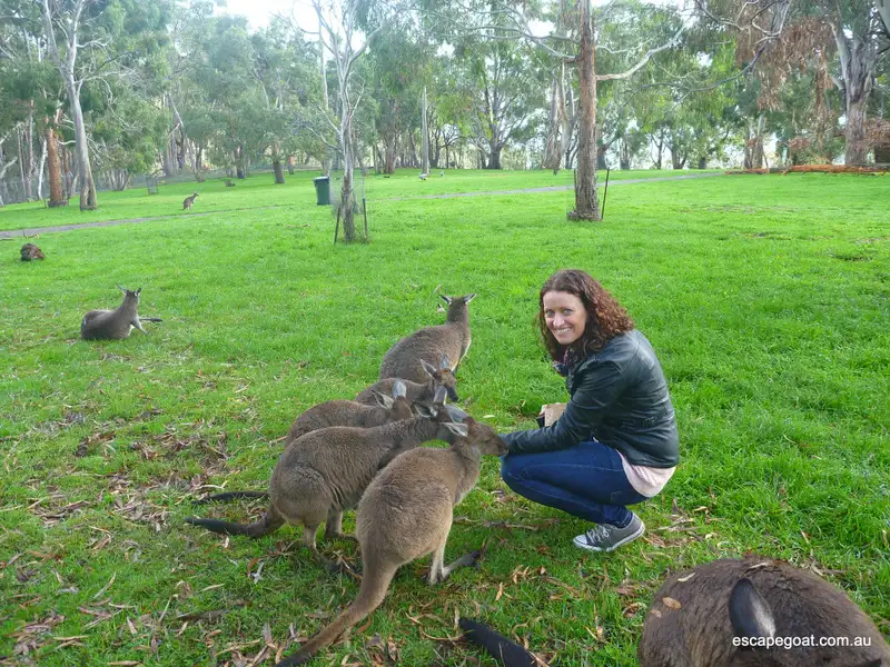 Mount Lofty Bike Tour