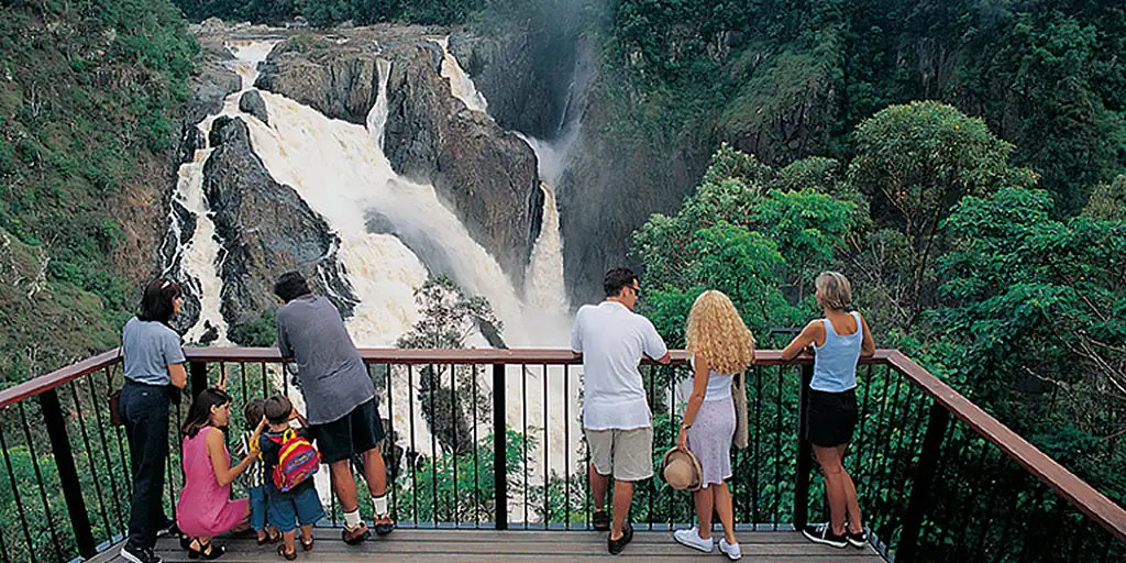 Rainforest & Waterfalls Half Day Tour