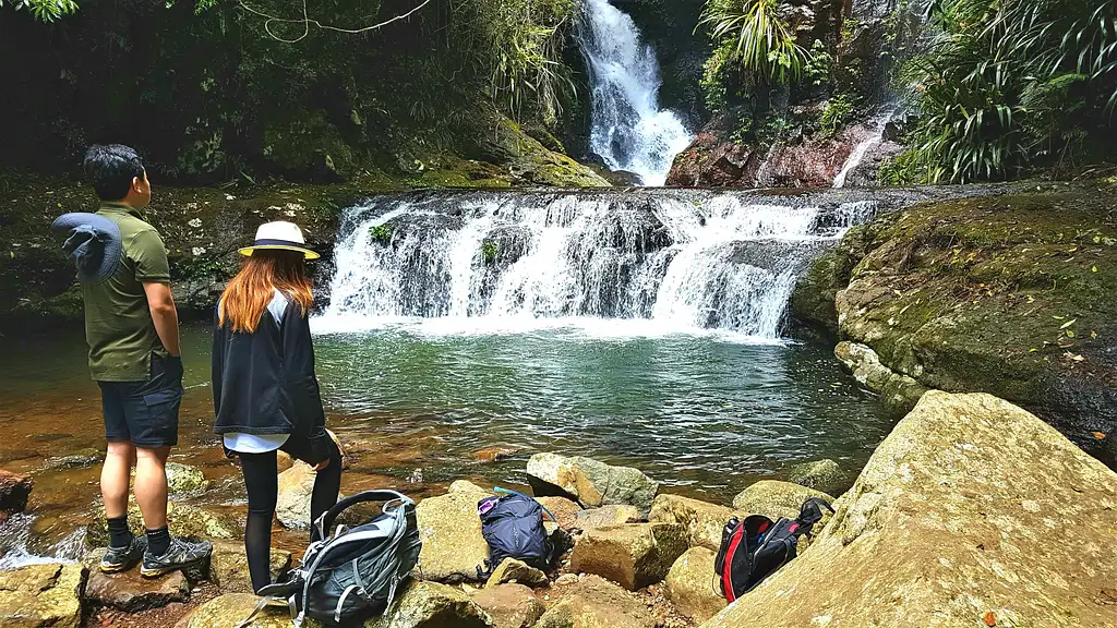 Rainforests of Lamington Wilderness Tour from the Gold Coast