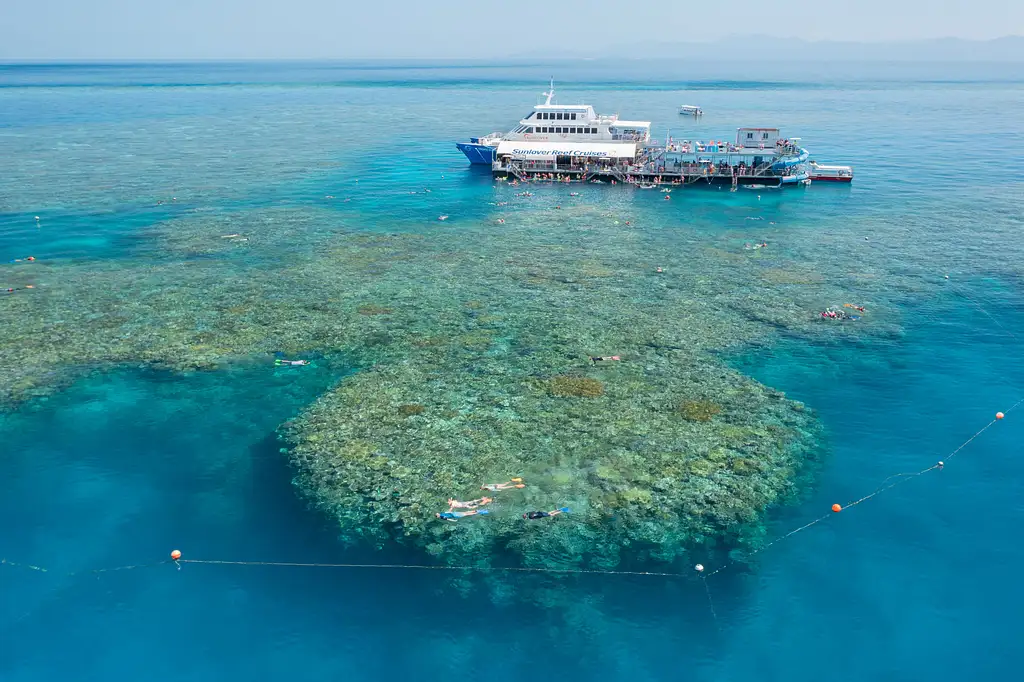 Great Barrier Reef (Moore Reef) Day Tour