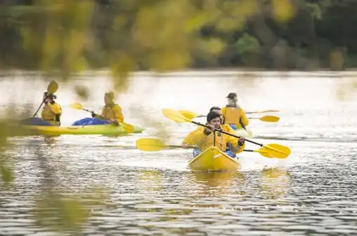 Lake Karapiro Daytime Canyon Kayak Tour