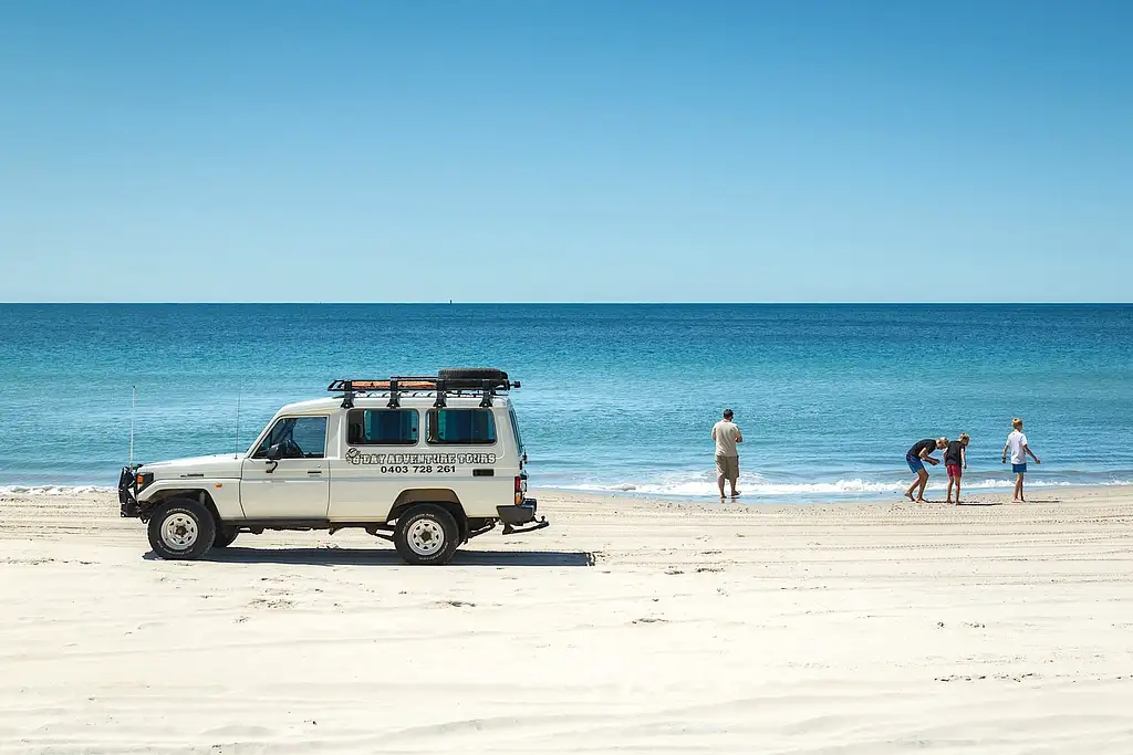 Bribie Island 4WD, Kayak, Beach & Bunker Half Day Tour