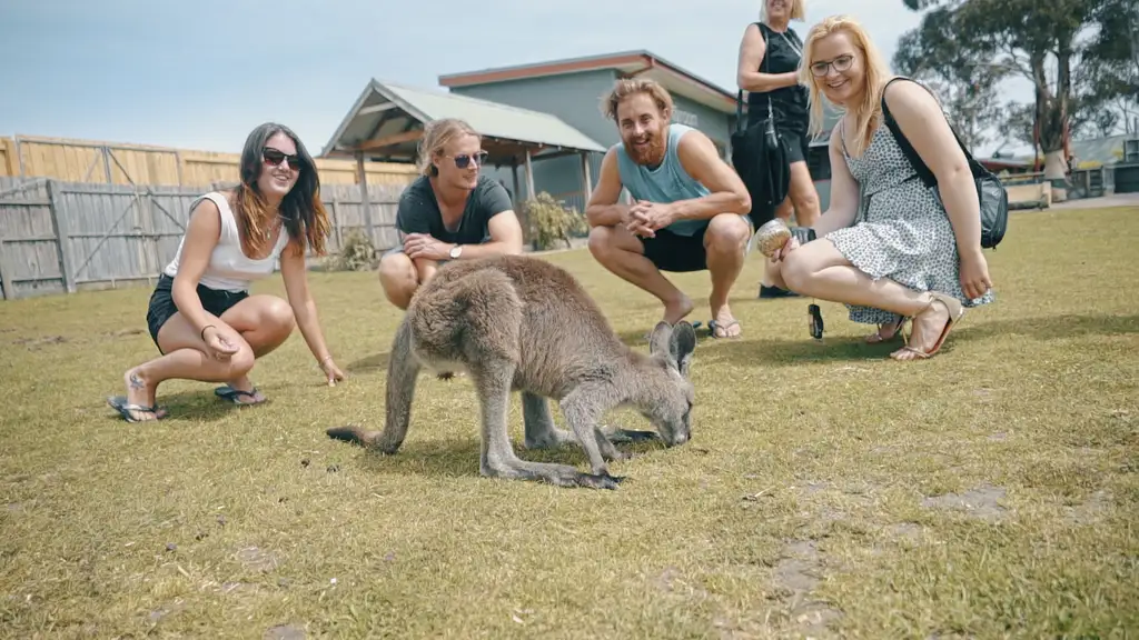 8 Day Welcome To Melbourne Tour | The ultimate intro to Australia's South-East!