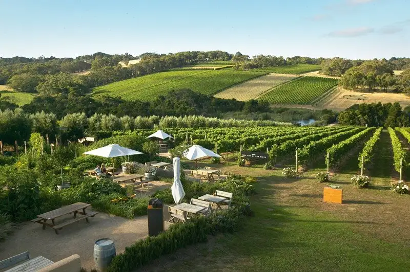 Mornington Peninsula Winery Tour with Lunch