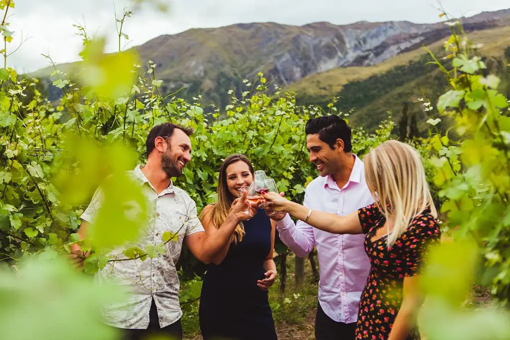 Queenstown Wine Sampler | Over 18 tastings included