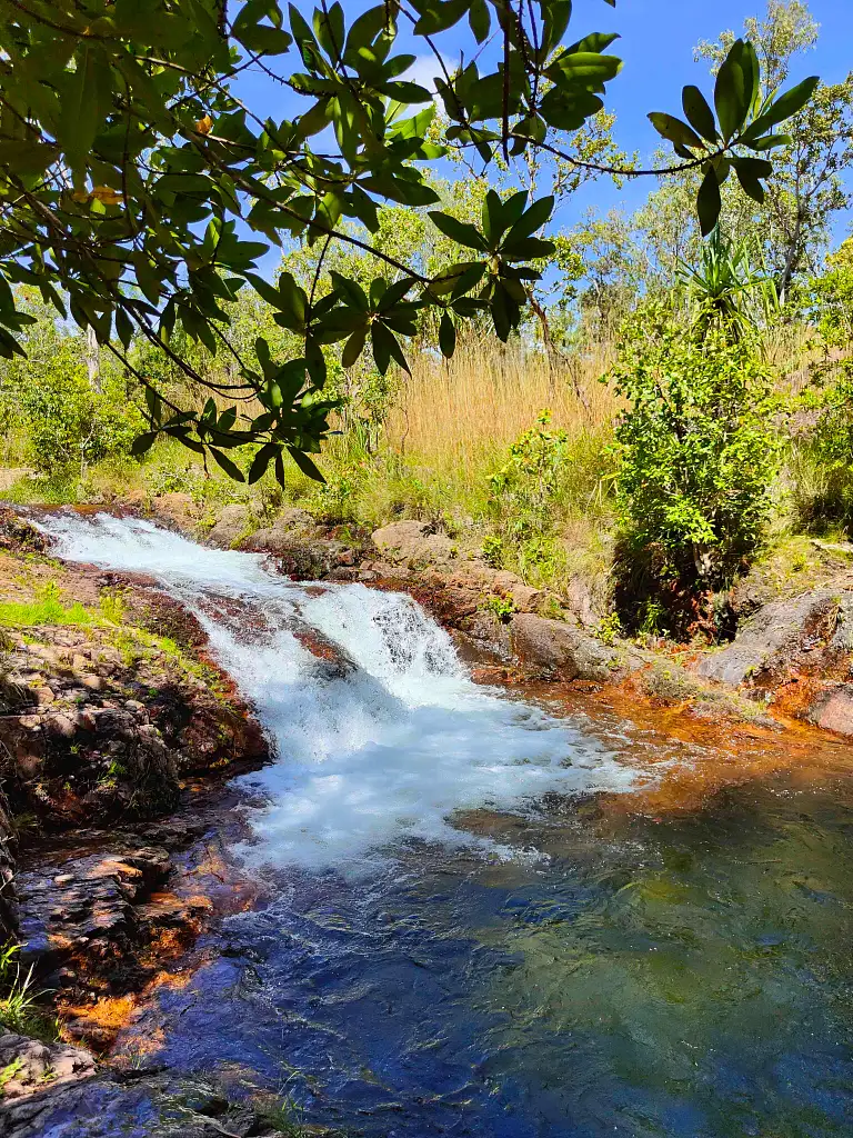 Litchfield National Park Day Tour - Waterfalls, Croc Cruise & Buley Rockhole