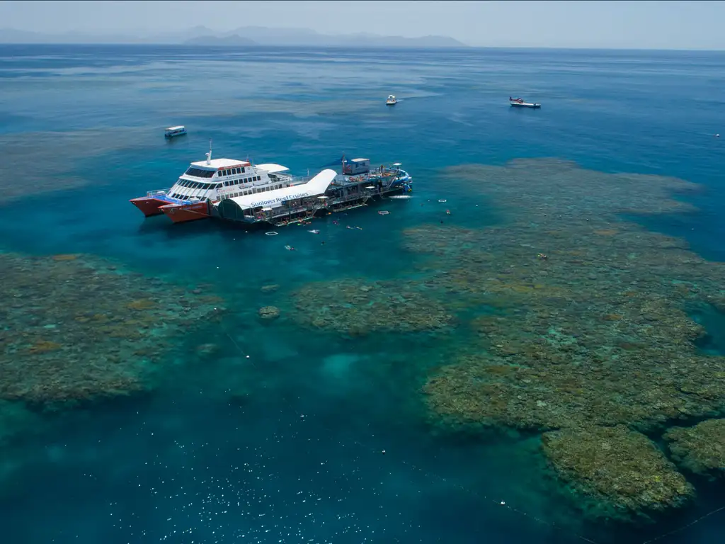 Great Barrier Reef (Moore Reef) Day Tour