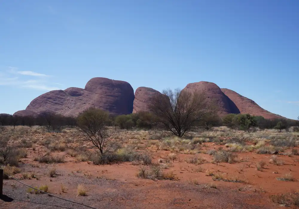 3 Day Uluru & Kings Canyon Express | Intrepid Tour