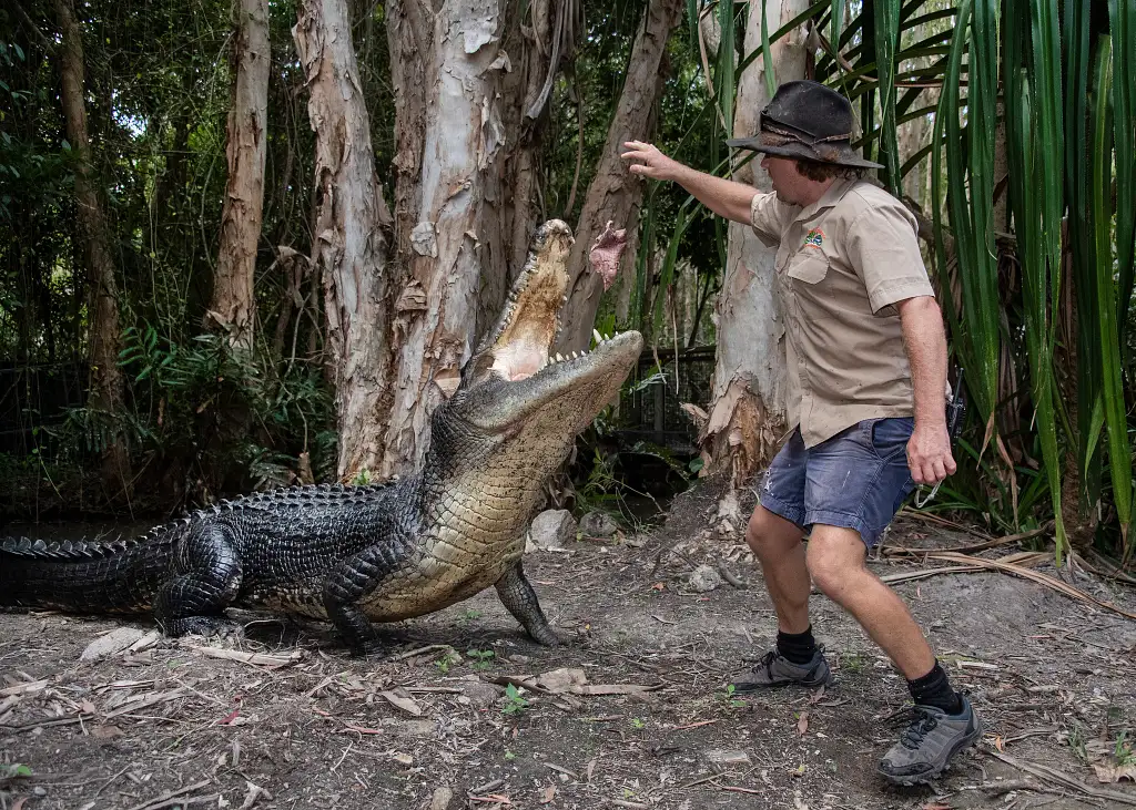 Hartley's Crocodile Adventures | General Admission