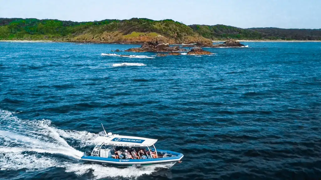 Julian Rocks Snorkeling Tour