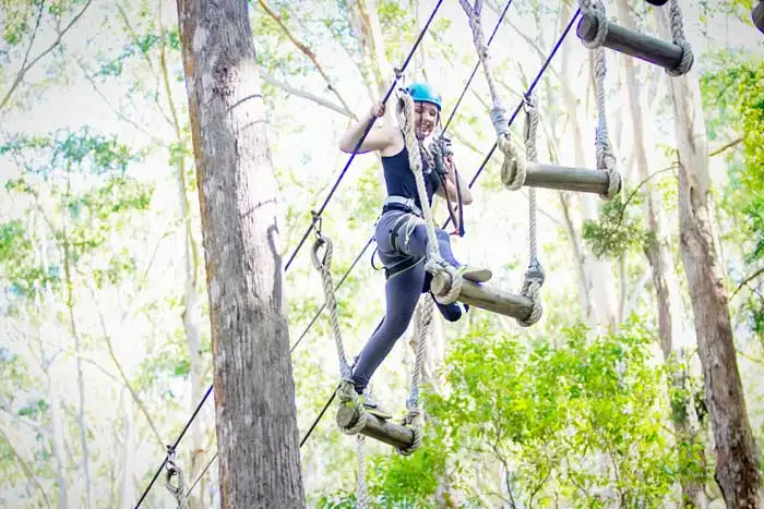 Treetop Challenge Currumbin Wildlife Sanctuary