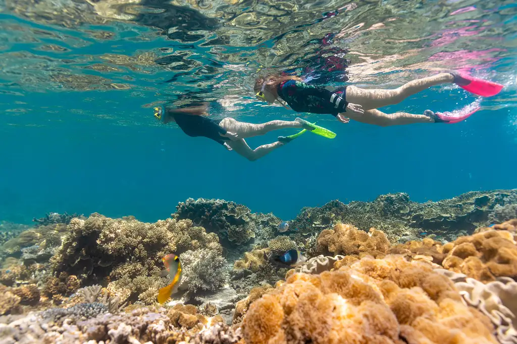 Great Barrier Reef (Moore Reef) Day Tour