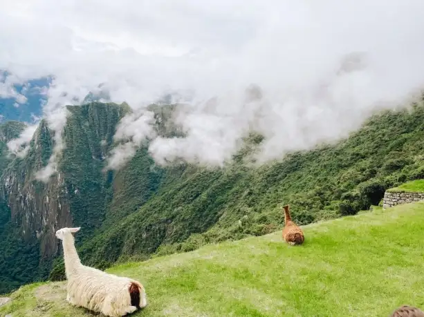 10 Day Peru Inca Adventure | TruTravels