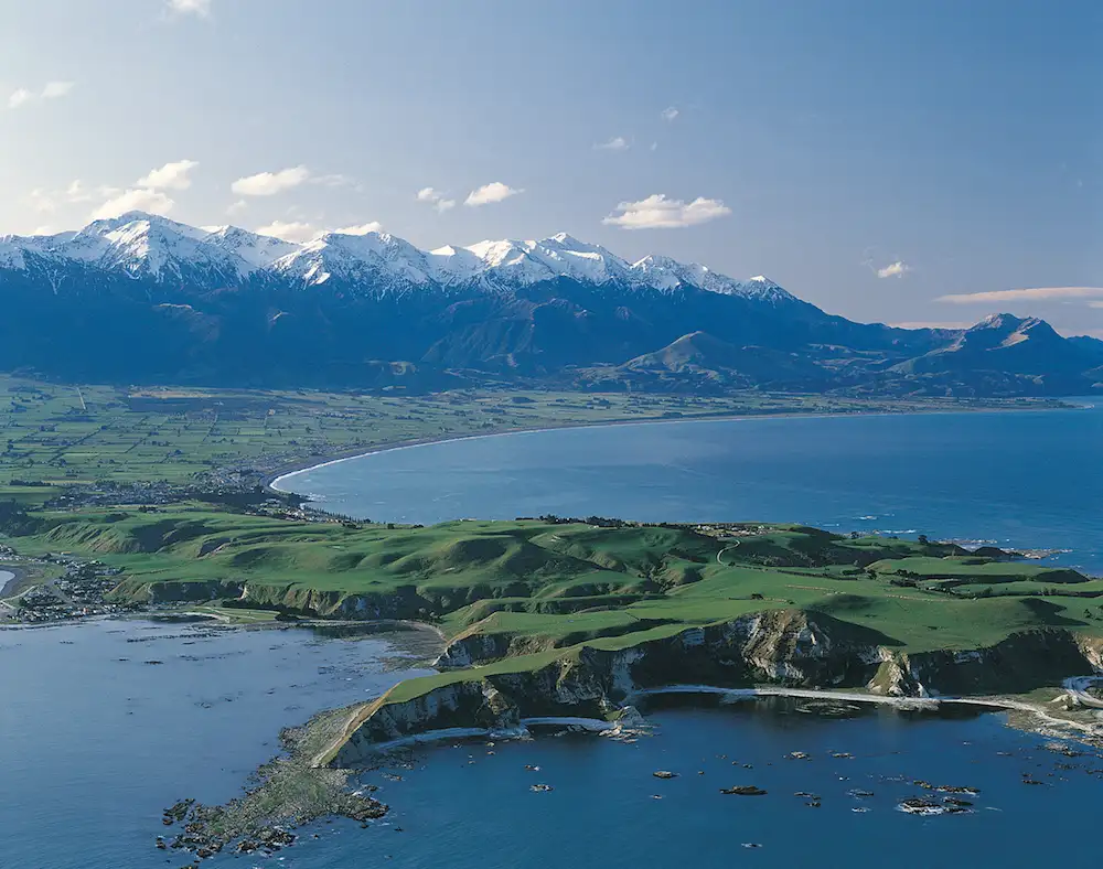 Kaikoura Whale Watching Tour