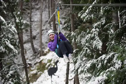 Queenstown Ziplining Adventure - Moa Tour