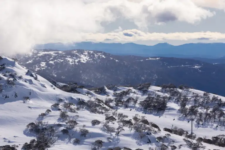 Perisher Snow Tour | Day Trip Departing Sydney