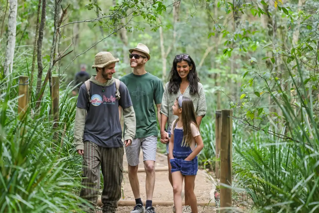 Byron Bay Hinterland Magic & Glow-worm Experience - All inclusive