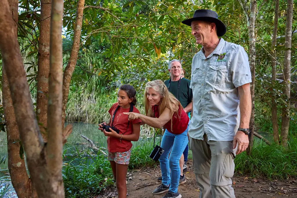 Cairns Rainforest Wildlife Day & Night Tour