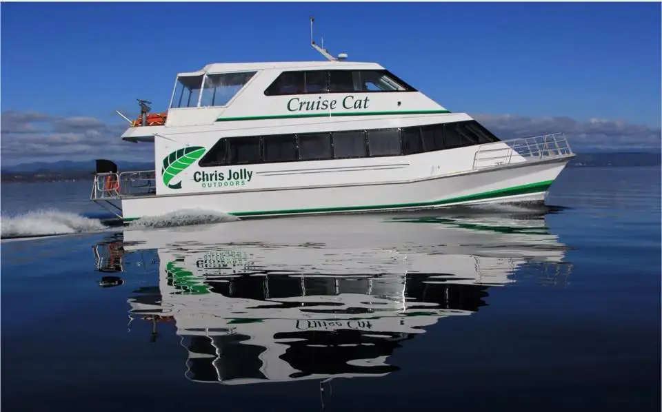 Ngātoroirangi Māori Rock Carvings Boat Cruise (Variety of times)