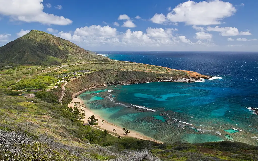 North Shore & Oahu Sightseeing Tour