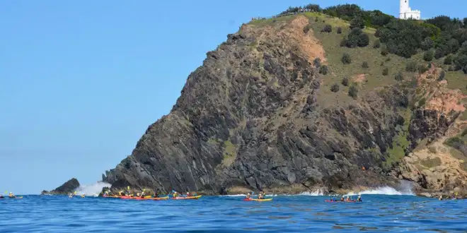 Byron Bay Dolphin Sea Kayak Tour