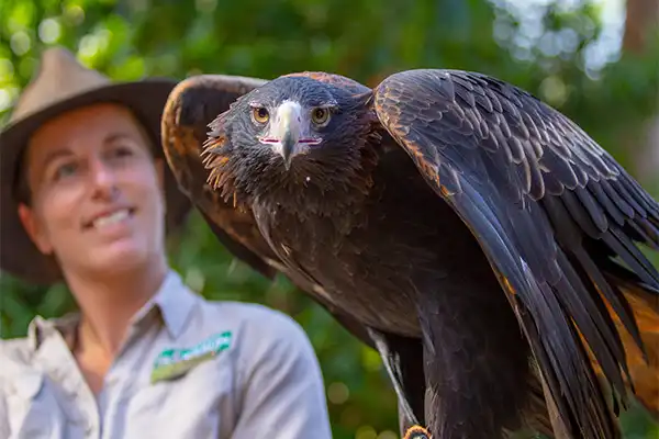 Currumbin Wildlife Sanctuary