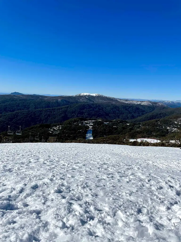 Mt Buller Day Tour From Melbourne