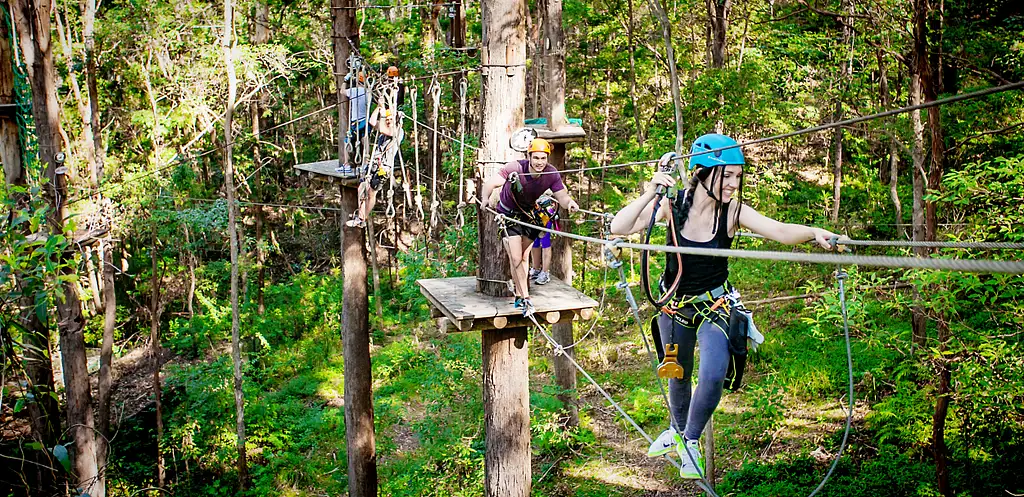 Treetop Challenge Currumbin Wildlife Sanctuary