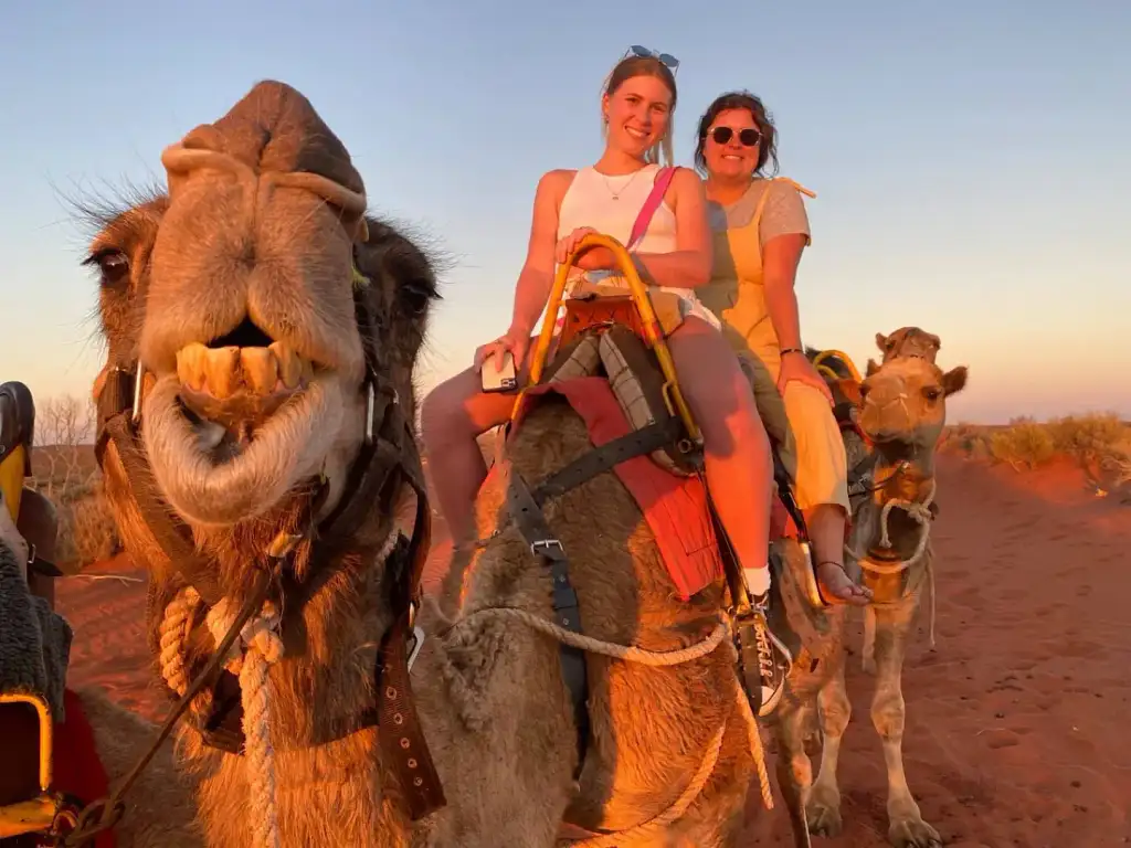 Uluru Sunrise Camel Experience