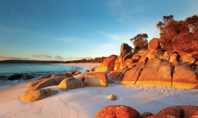 Tasmania East Coast 2 Day 1 Night Tour - Start & End Hobart