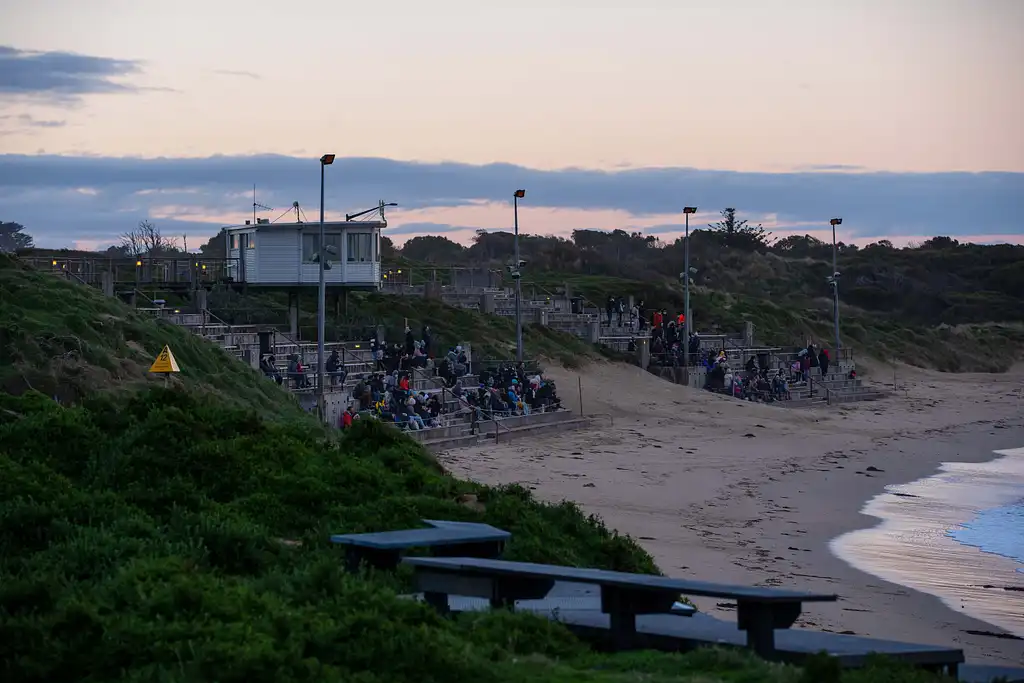 Phillip Island Penguin Parade & Churchill Island Farm Bus Tour