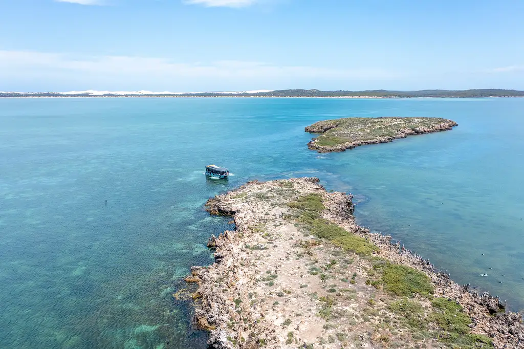 Coffin Bay Short & Sweet Oyster Farm Tour