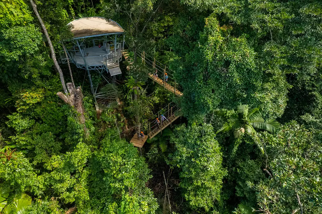 Zipline Tour Cape Tribulation