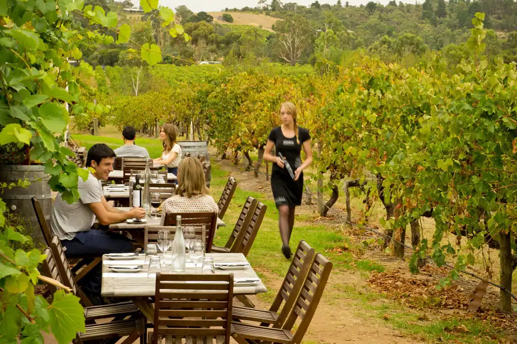 Mornington Peninsula Winery Tour with Lunch