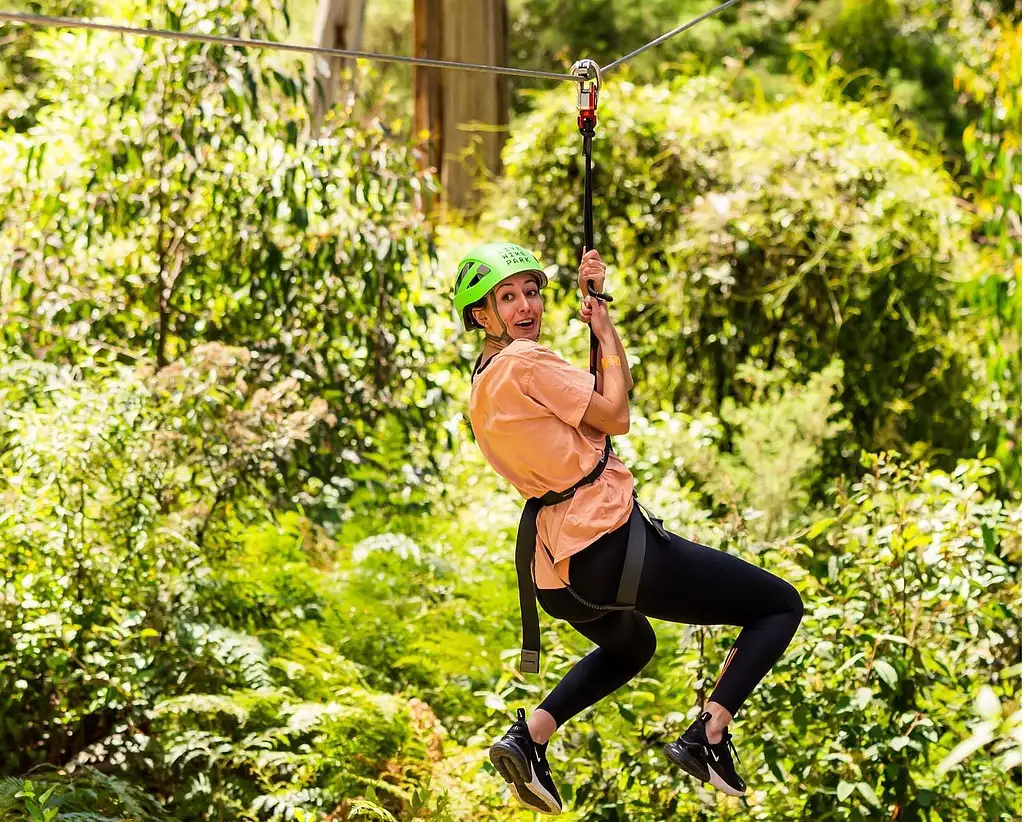 Lorne Super Circuit Treetop Adventure