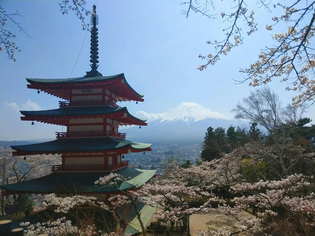 Mt Fuji Day Tour With Kawaguchiko Lake | 1-day Package