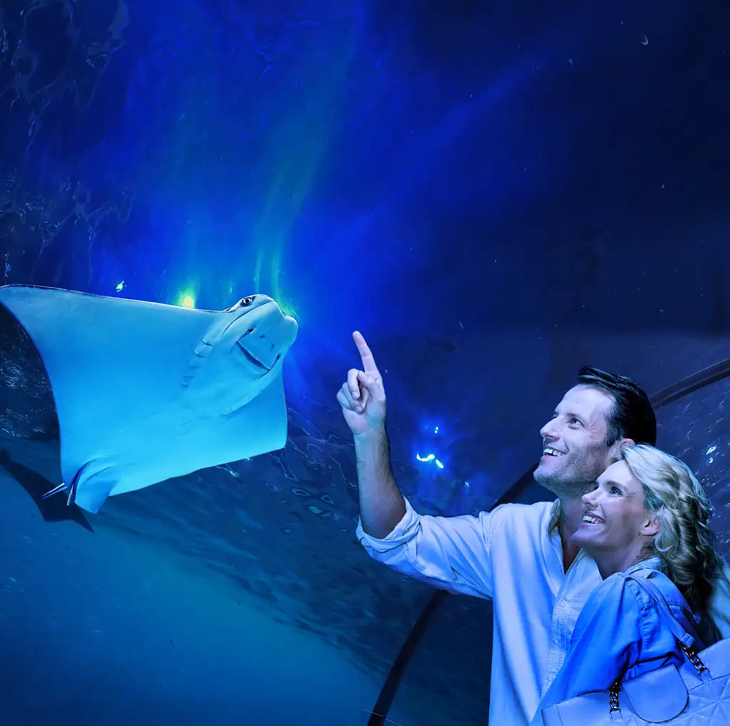 Cairns Aquarium By Twilight Tour