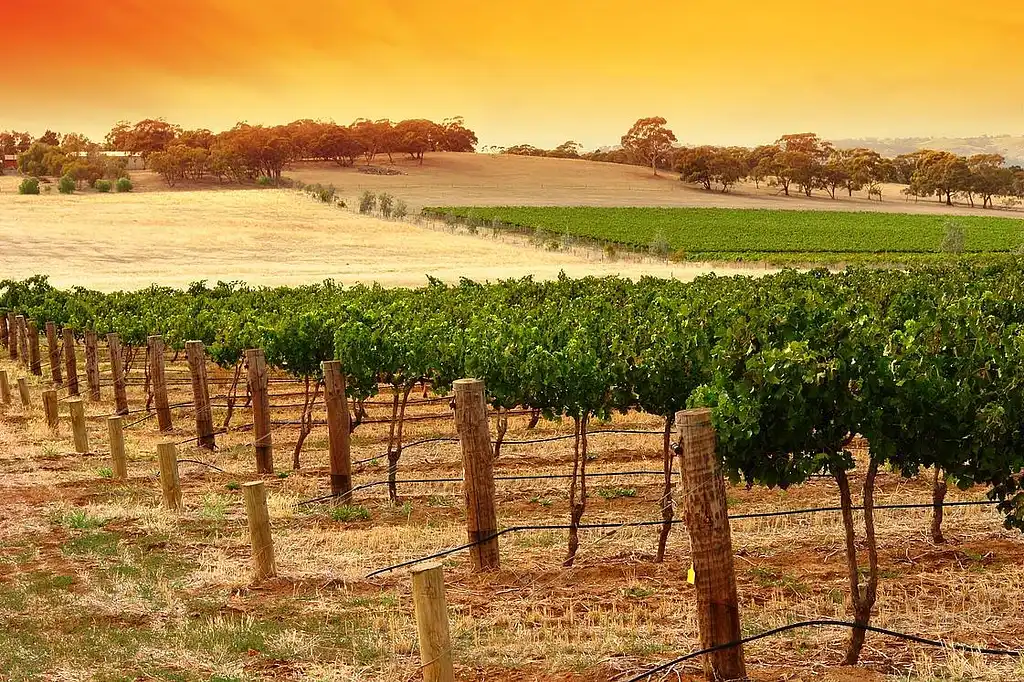 Kangaroo Island Food and Wine Trail