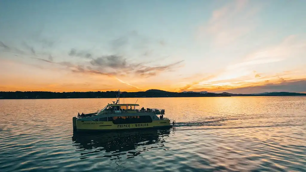 Vancouver Sunset Whale Watching