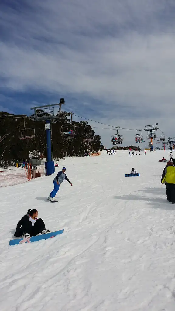 Mt Buller Day Tour From Melbourne