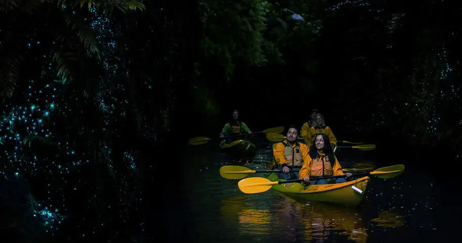 Lake Karapiro Twilight Kayak Glow Worm Tour